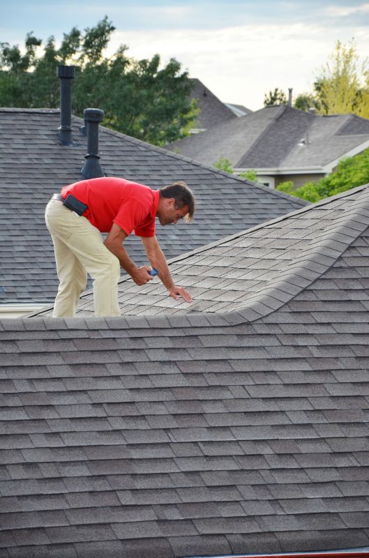 Roof Inspection and Consultation