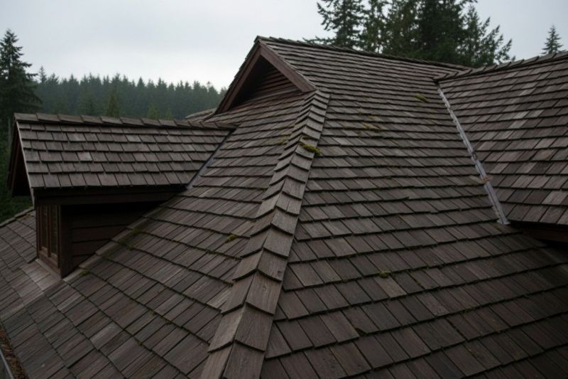 Wood Shake Roof Replacement